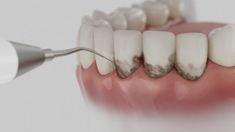 Reliable Dental contractor in Old Forge, PA by Dentist Open Now